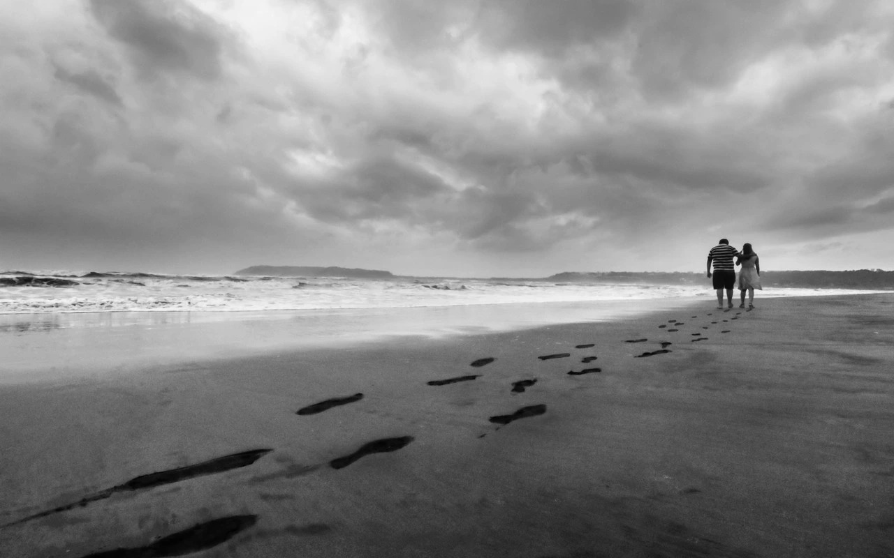 CineLook Mono Negative 200 cinematic look preview